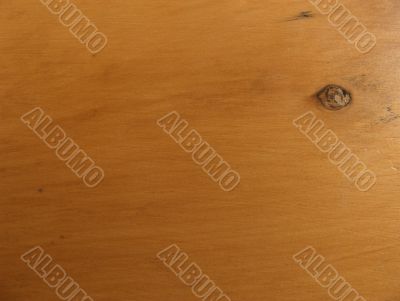 Old Yellowwood Background Old Yellowwood Background