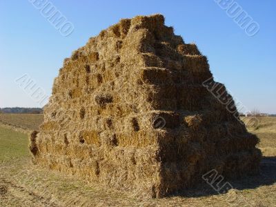 hay stack