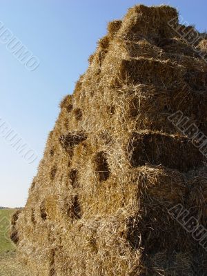 hay stack