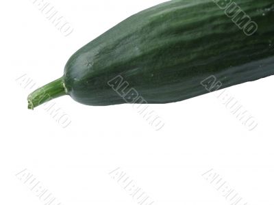isolated cucumber ending