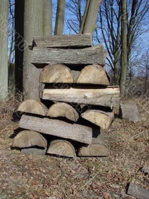 log pile