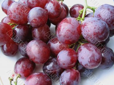 dark wet grapes