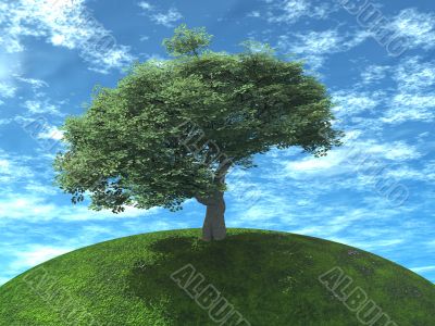 tree on earth