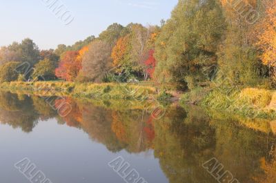 Autumn in the park