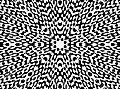 black and white radiating symmetry