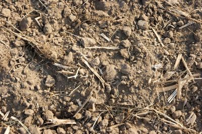 Dry Soil