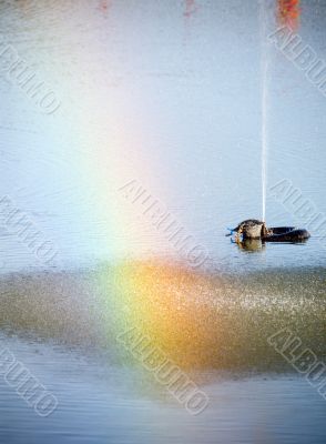 Fountain with a rainbow