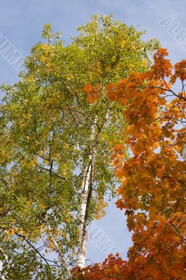 Between summer and autumn