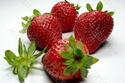 Strawberry Strawberry