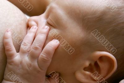 close up of newborn baby near breast