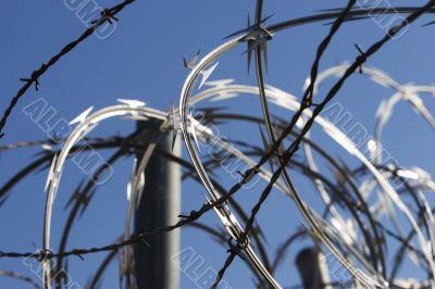 Razor Wire