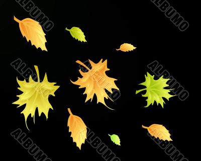 Yellow leaves