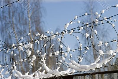 About freedom under the blue sky