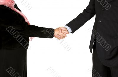 business couple shaking hands - full bodies