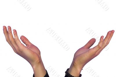 hands expecting something
