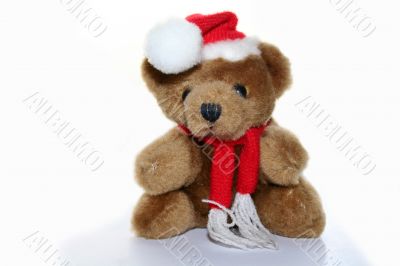 teddy bear in christmas red cap and red scarf