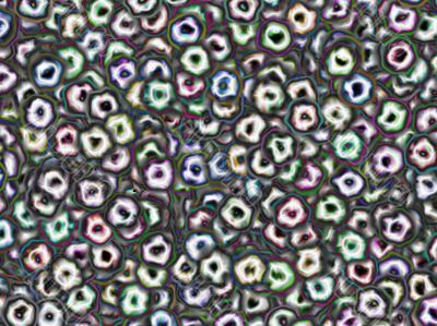 subtle colour cells subtle colour cells