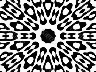 black and white creatures black and white creatures