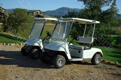 Carts in golf club