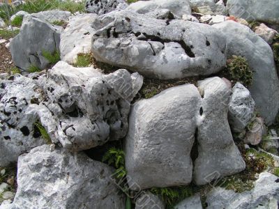 Stones from glacial age Stones from glacial age