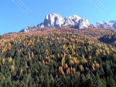 Autumn in mountain Autumn in mountain