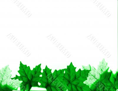 Green Leaves Design