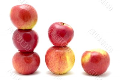 apple in size order