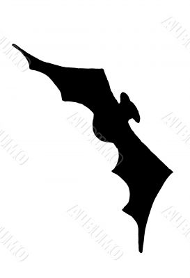 Bat Flying