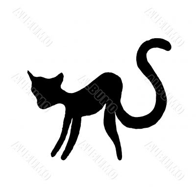 Black Cat Silhouette