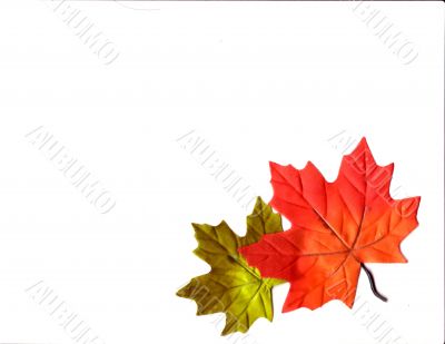 Autumn Designs for Holiday Season