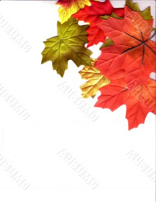 Autumn Designs for Holiday Season