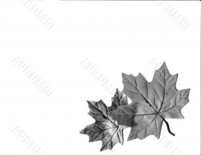 Autumn Designs for Holiday Season