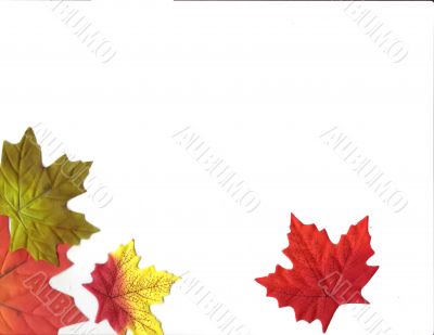 Autumn Designs for Holiday Season