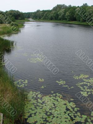 Deep calm river waters near forest