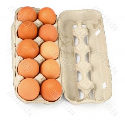 ten eggs in a box #3