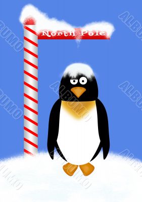 North Pole Penguin