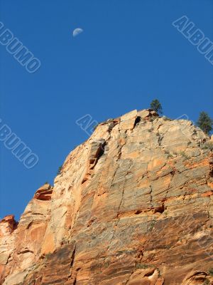 ccccccccccccccccccccccccc ccccccccccccc ccccccccccccccccccccccccc ccccccccccccc