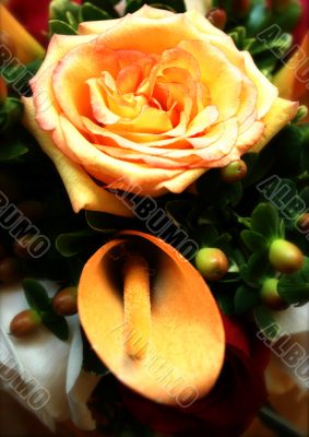 Romantic Bouquet: Rose and Calla Lily