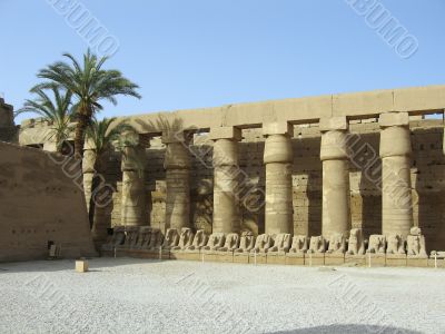 Ram-headed sphinxes