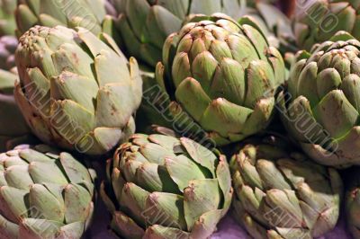 Fresh Artichokes