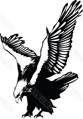 Vector flying eagle graphic
