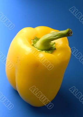 brightly yellow pepper