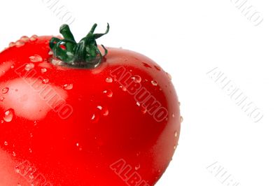 wet tomato
