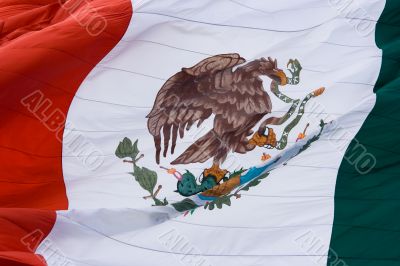 Mexican flag, close up. Mexican flag, close up.