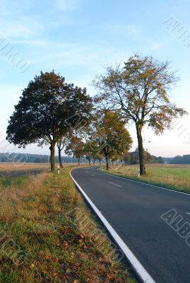 The Road Less Travelled The Road Less Travelled