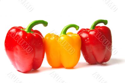 excellent red and yellow peppers