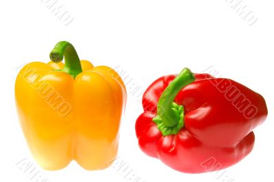 excellent red and yellow peppers