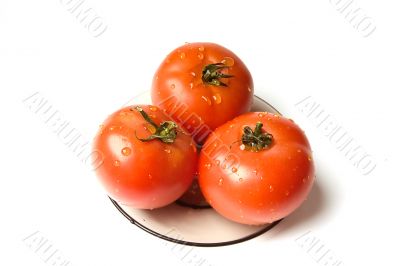 wet tomatoes