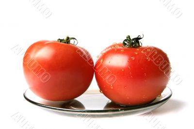 dry and wet tomatoes dry and wet tomatoes