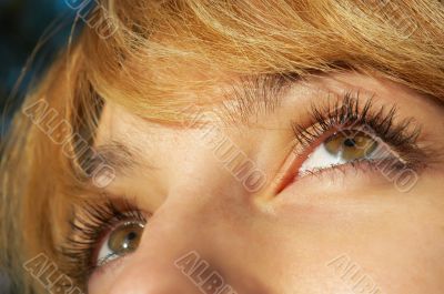 blond girl`s eye closeup blond girl`s eye closeup
